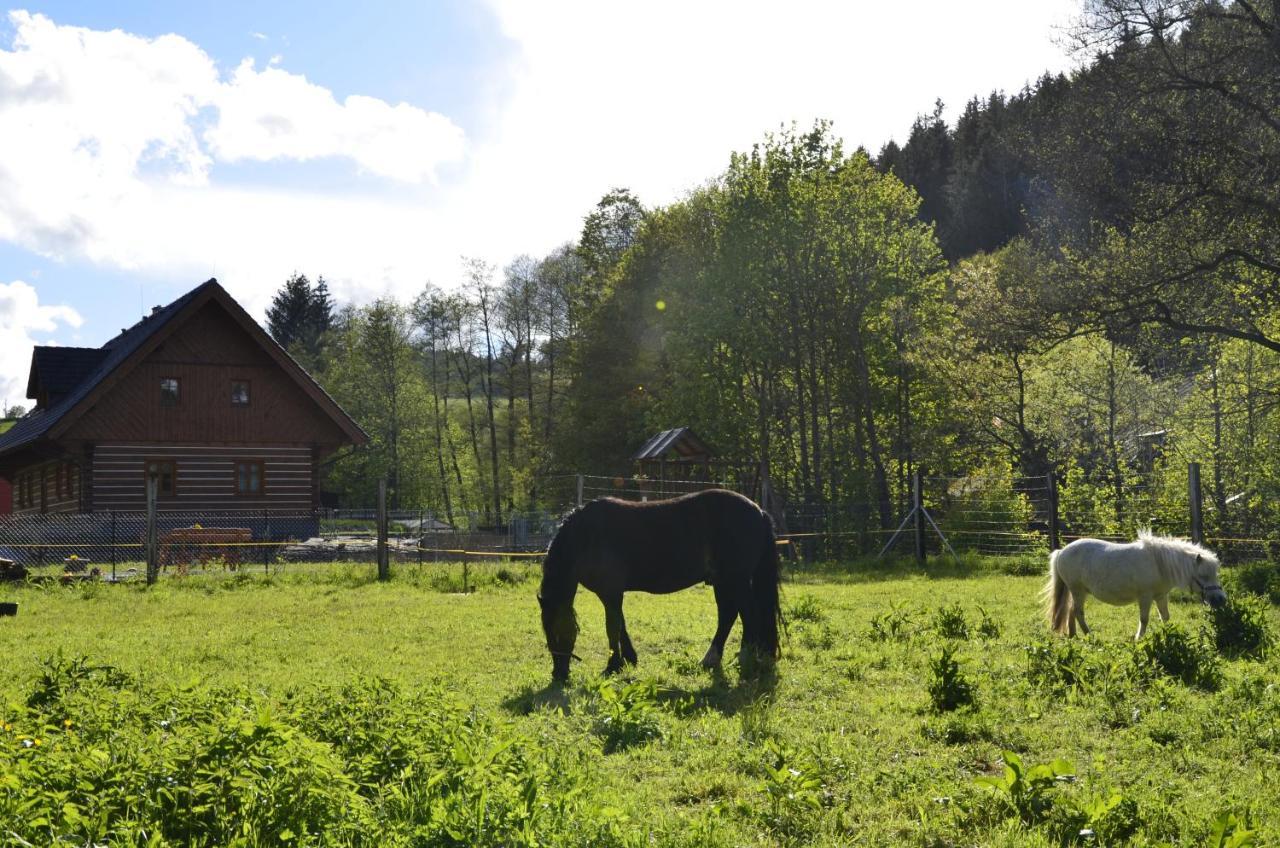 Apartmany U Vlcich Jam Petrovice u Susice Экстерьер фото
